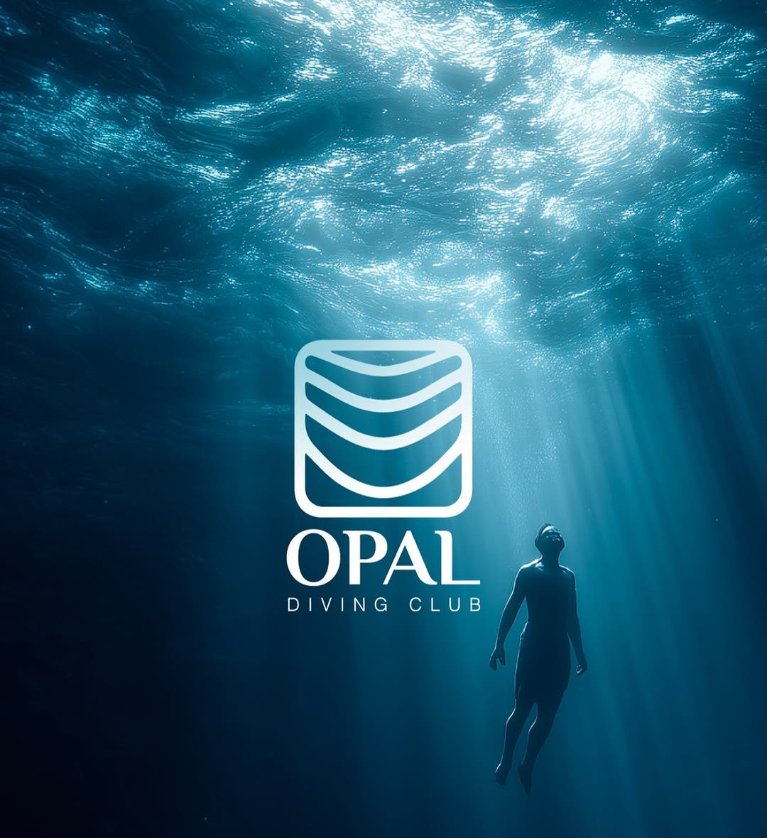A freediver rising through sunlit water, under the Opal Diving Club logo